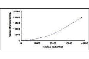 ELISA image for Enolase 1 (ENO1) CLIA Kit (ABIN1081367)