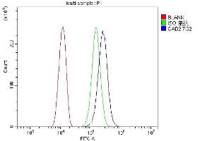 Flow Cytometry analysis of U20S cells using anti- GAD65/GAD2 antibody (ABIN7603170). (GAD65 Antikörper  (N-Term))