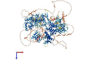 ARAP3 Protein (AA 1-1538) (His tag)
