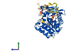 Protein Structure (PS) image for Abhydrolase Domain Containing 17C (ABHD17C) (AA 1-320) protein (His tag) (ABIN7559832)