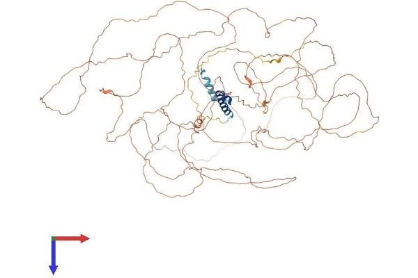 APOBR Protein (AA 1-942) (His tag)