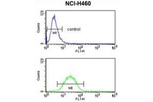 Flow Cytometry (FACS) image for anti-Fibulin 3 (FBLN3) antibody (ABIN3004030) (FBLN3 Antikörper)
