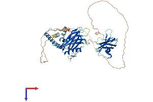 SYTL1 Protein (AA 1-562) (His tag)