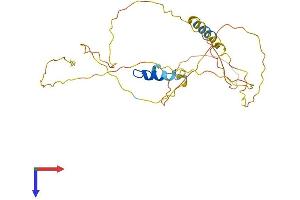 ERMN Protein (AA 1-284) (His tag)