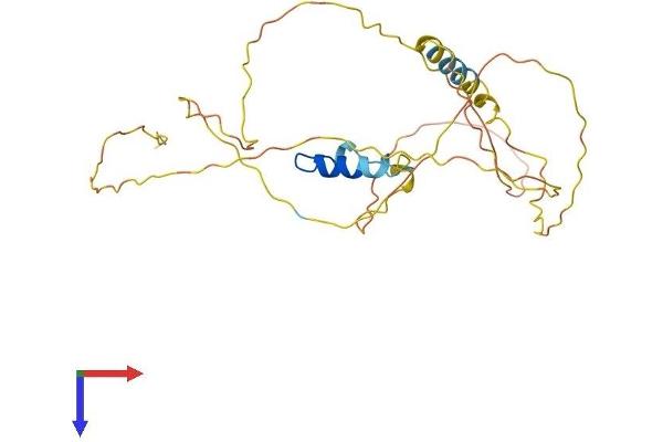 ERMN Protein (AA 1-284) (His tag)