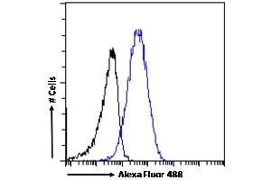 (ABIN185516) Flow cytometric analysis of paraformaldehyde fixed A431 cells (blue line), permeabilized with 0.