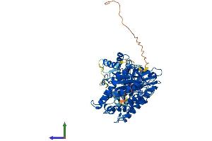 Protein Structure (PS) image for Methylenetetrahydrofolate Reductase (NAD(P)H) (MTHFR) (AA 1-654) protein (His tag) (ABIN7556263)
