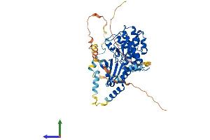 AlphaFold protein structure predicition of Mouse Recombinant Stk32c Protein, UniprotID Q8QZV4 (STK32C Protein (AA 1-488) (His tag))