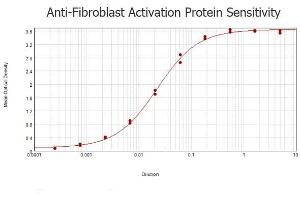 ELISA results of purified Rabbit anti-Fibroblast Activation Protein (FAP) Antibody tested against BSA-conjugated peptide of immunizing peptide.