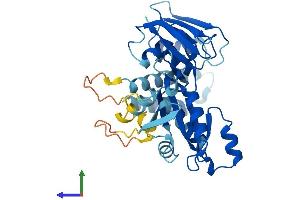 Protein Structure (PS) image for Developmentally Regulated GTP Binding Protein 2 (DRG2) (AA 1-364) protein (His tag) (ABIN7561743)