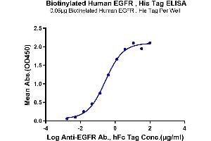 ELISA image for Epidermal Growth Factor Receptor (EGFR) (AA 25-645) protein (His-Avi Tag,Biotin) (ABIN7274527)