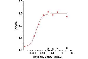 Immobilized Hu-CD20-VLP (32 °C) at 16 μg/mL can bind TRU-015, EC50= 0. (Rekombinanter CD20 Antikörper)