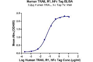 Immobilized Human TRAIL, No Tag at 2 μg/mL(100 μL/well) on the plate. (TNFRSF10A Protein (AA 34-239) (Fc Tag))