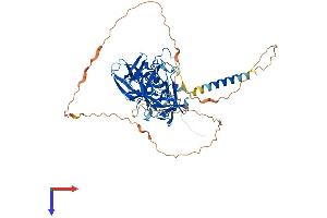 TMPRSS13 Protein (AA 1-586) (His tag)
