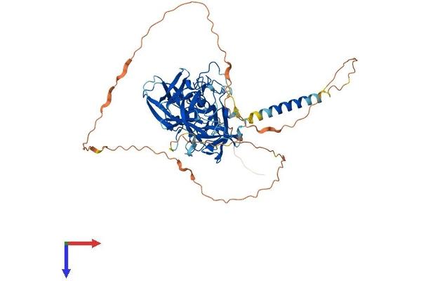 TMPRSS13 Protein (AA 1-586) (His tag)