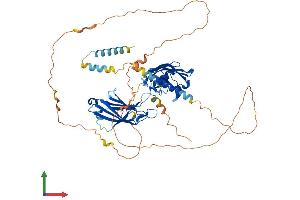 Protein Structure (PS) image for Synaptotagmin III (SYT3) (AA 1-590) protein (His tag) (ABIN7555688)