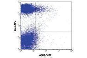 Flow Cytometry (FACS) image for anti-Chemokine (C-C Motif) Receptor 10 (CCR10) antibody (PE) (ABIN2662919) (CCR10 Antikörper  (PE))