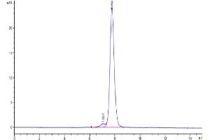 Size-exclusion chromatography-High Pressure Liquid Chromatography (SEC-HPLC) image for LI Cadherin (AA 567-777) protein (Fc Tag) (ABIN7274312)