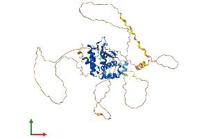 AlphaFold protein structure predicition of Human Recombinant NFIX Protein, UniprotID Q14938