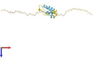 CPI-17 Protein (AA 1-147) (His tag)