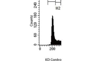 Western Blotting (WB) image for anti-MAF1 Homolog (MAF1) (Center) antibody (ABIN2856430)