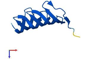 AlphaFold protein structure predicition of Mouse Recombinant Morn2 Protein, UniprotID Q6UL01