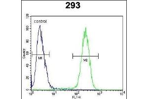 TMEM66 Antibody (N-term) (ABIN654703 and ABIN2844395) flow cytometric analysis of 293 cells (right histogram) compared to a negative control cell (left histogram).