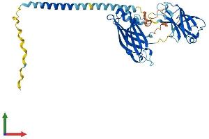 Protein Structure (PS) image for Synaptotagmin V (SYT5) (AA 1-386) protein (His tag) (ABIN7544064)