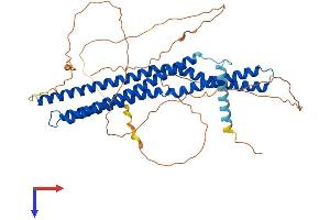 BIN2 Protein (AA 1-489) (His tag)