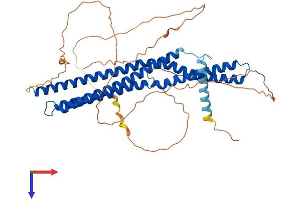 BIN2 Protein (AA 1-489) (His tag)