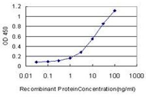 ELISA image for anti-CDKN2A Interacting Protein (CDKN2AIP) (AA 1-579) antibody (ABIN565885)