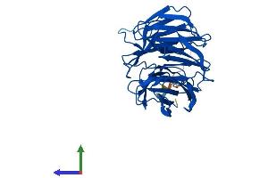 AlphaFold protein structure predicition of Human Recombinant WDR5B Protein, UniprotID Q86VZ2
