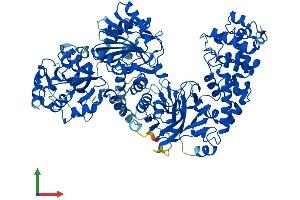 AlphaFold protein structure predicition of Mouse Recombinant Tcaf2 Protein, UniprotID Q921K8