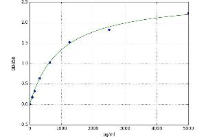 A typical standard curve