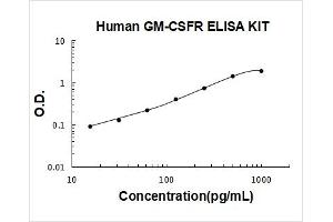 Typical Standard Curve