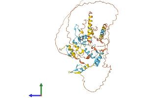 Protein Structure (PS) image for IKAROS Family Zinc Finger 1 (Ikaros) (IKZF1) (AA 1-517) protein (His tag) (ABIN7563588)