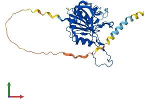 Protein Structure (PS) image for beta-1,3-Glucuronyltransferase 2 (Glucuronosyltransferase S) (B3GAT2) (AA 1-323) protein (His tag) (ABIN7552503)