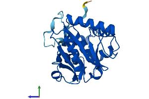 Protein Structure (PS) image for Ubiquitin Carboxyl-terminal Esterase L3 (Ubiquitin Thiolesterase) (Uchl3) (AA 1-230) protein (His tag) (ABIN7555963)