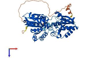 GTDC1 Protein (AA 1-445) (His tag)