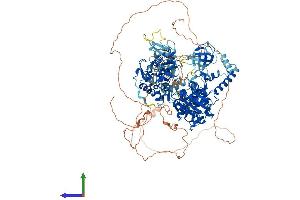 Protein Structure (PS) image for UPF1 Regulator of Nonsense Transcripts Homolog (UPF1) (AA 1-1124) protein (His tag) (ABIN7565027)