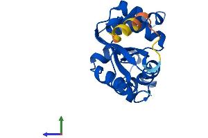 AlphaFold protein structure predicition of Human Recombinant NME3 Protein, UniprotID Q13232 (NME3 Protein (AA 1-169) (His tag))
