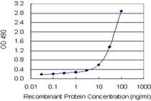 Sandwich ELISA detection sensitivity ranging from 0. (SPP1 (Human) Matched Antibody Pair)