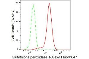 Flow cytometric analysis of Glutathione peroxidase 1 expression in HeLa cells using Glutathione peroxidase 1 antibody (ABIN7798752), 1:2,000). (Rekombinanter Glutathione Peroxidase 1 Antikörper)