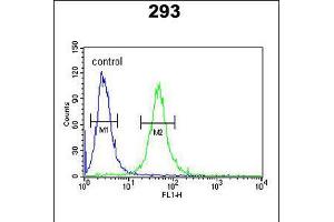 Flow cytometric analysis of 293 cells (right histogram) compared to a negative control cell (left histogram). (GATA2 Antikörper  (AA 262-288))