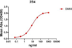 ELISA plate pre-coated by 2 μg/mL (100 μL/well) Human 2B4 protein, mFc-His tagged protein (ABIN6961083) can bind Rabbit anti-2B4 monoclonal antibody (clone: DM69) in a linear range of 1-100 ng/mL.