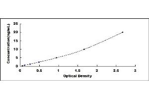 Typical standard curve (SYT7 ELISA Kit)