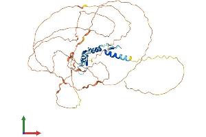 Protein Structure (PS) image for Early Growth Response 2 (EGR2) (AA 1-470) protein (His tag) (ABIN7562759)