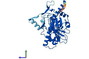 Protein Structure (PS) image for Monoacylglycerol O-Acyltransferase 3 (MOGAT3) (AA 1-341) protein (His tag) (ABIN7549538)