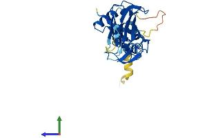 Protein Structure (PS) image for F-Box Protein 17 (FBXO17) (AA 1-286) protein (His tag) (ABIN7561833)