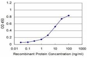 Detection limit for recombinant GST tagged RAX is approximately 1ng/ml as a capture antibody. (RAX Antikörper  (AA 104-206))